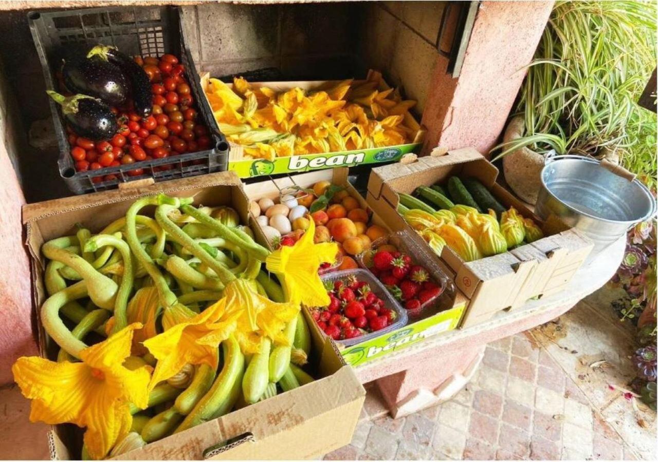 Ascheri Country House - Grimaldi, Ventimiglia Luaran gambar