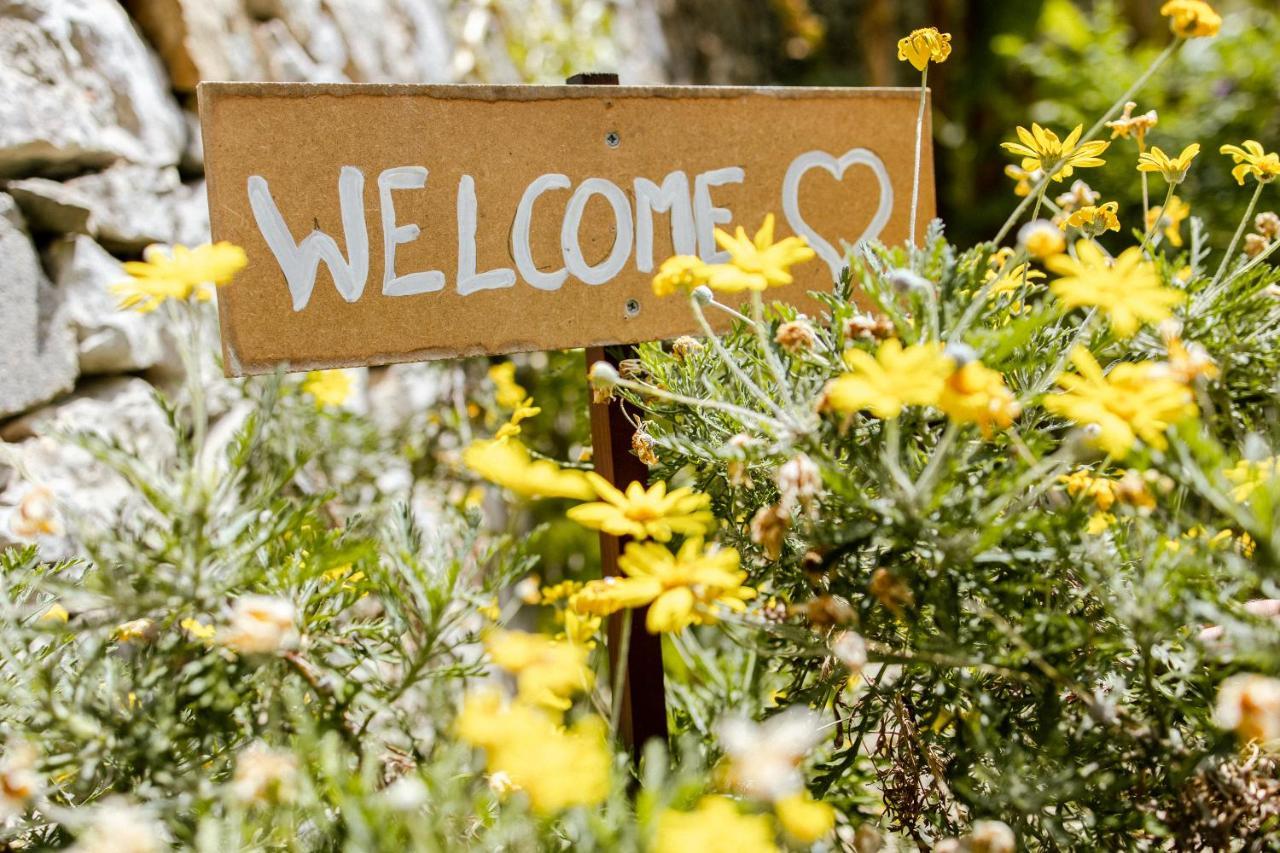 Ascheri Country House - Grimaldi, Ventimiglia Luaran gambar